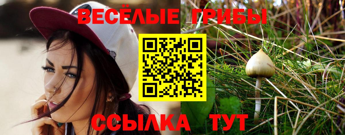 Галлюциногенные грибы Magic Shrooms Нижний Тагил